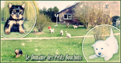 CH. Du domaine des petits bouchons Eva
